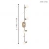 EGLO โคมไฟสปอตไลท์ PEARL 25008 - Image 2