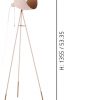 EGLO โคมไฟตั้งพื้น CHESTER-P 49039 - Image 2