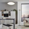 EGLO Connect โคมไฟตั้งพื้น LED FRATTINA-C 97814 - Image 4
